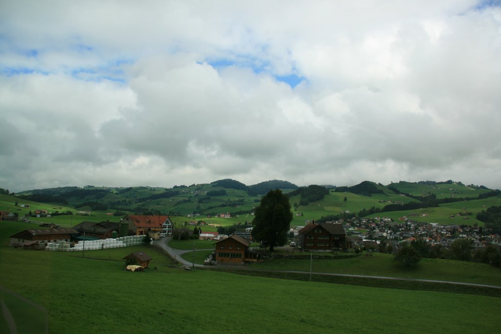 img_7294.jpg