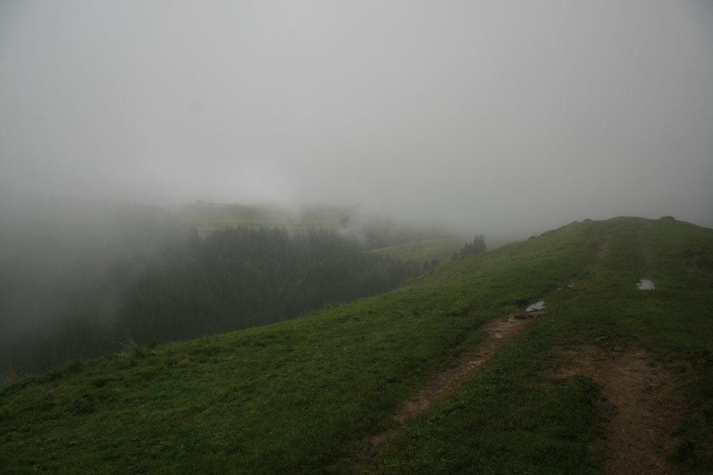 img_7334.jpg