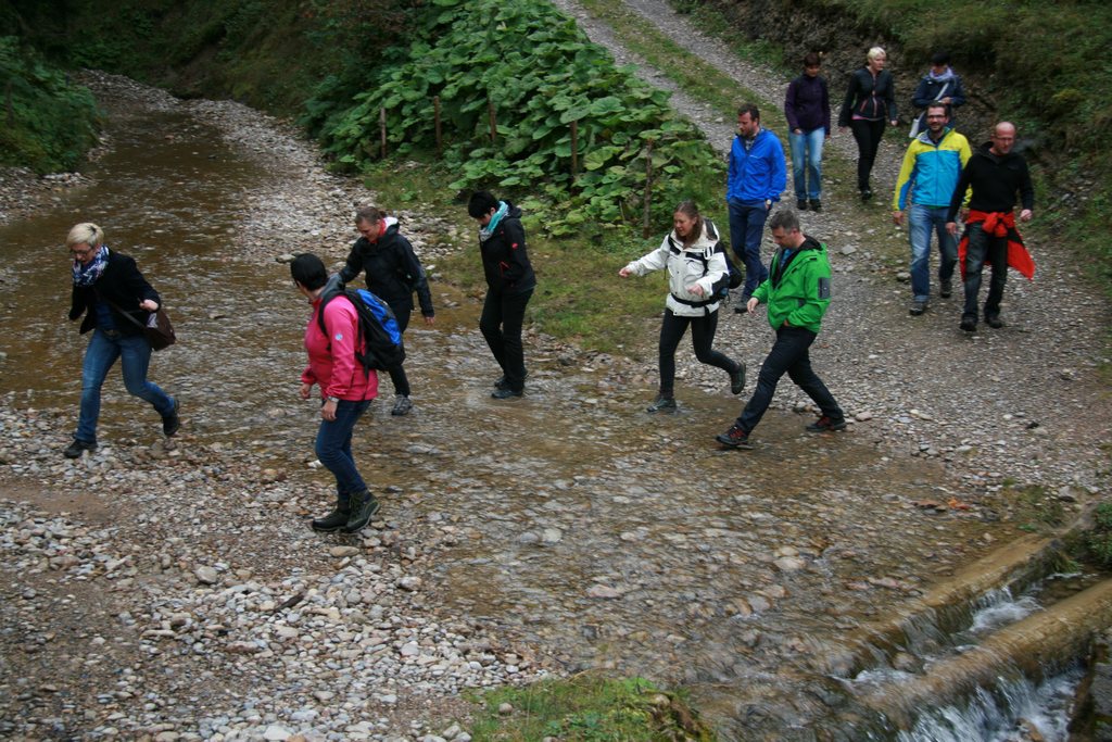 img_7337.jpg