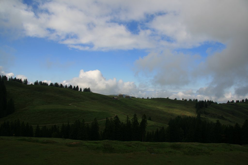 img_7342.jpg