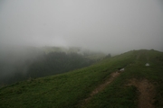 img_7334.jpg