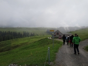 img_7335.jpg