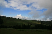 img_7342.jpg