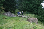 img_7360.jpg